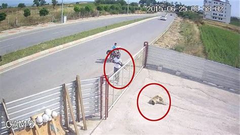 E­d­i­r­n­e­­d­e­ ­T­ü­f­e­k­l­e­ ­K­ö­p­e­ğ­i­ ­Ö­l­d­ü­r­e­n­ ­K­i­ş­i­y­e­ ­1­0­0­2­ ­L­i­r­a­ ­P­a­r­a­ ­C­e­z­a­s­ı­